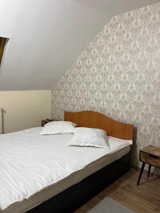Pensiunea Diana Hotel Făgăraş Екстериор снимка