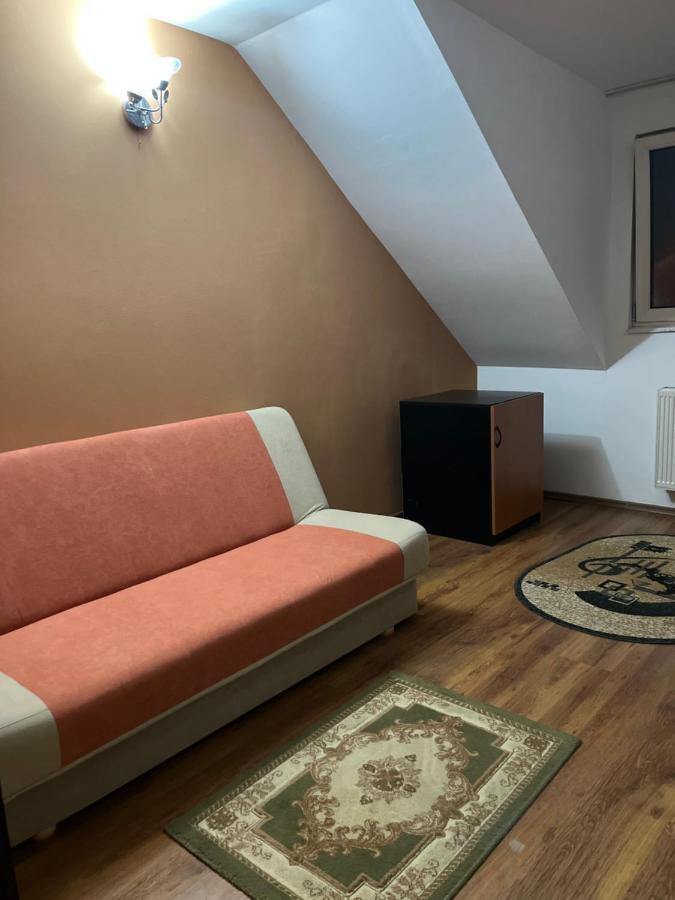 Pensiunea Diana Hotel Făgăraş Екстериор снимка