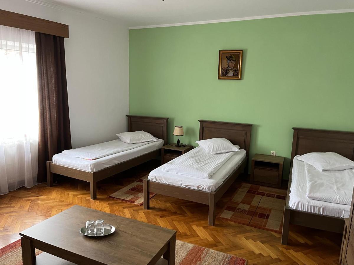 Pensiunea Diana Hotel Făgăraş Екстериор снимка