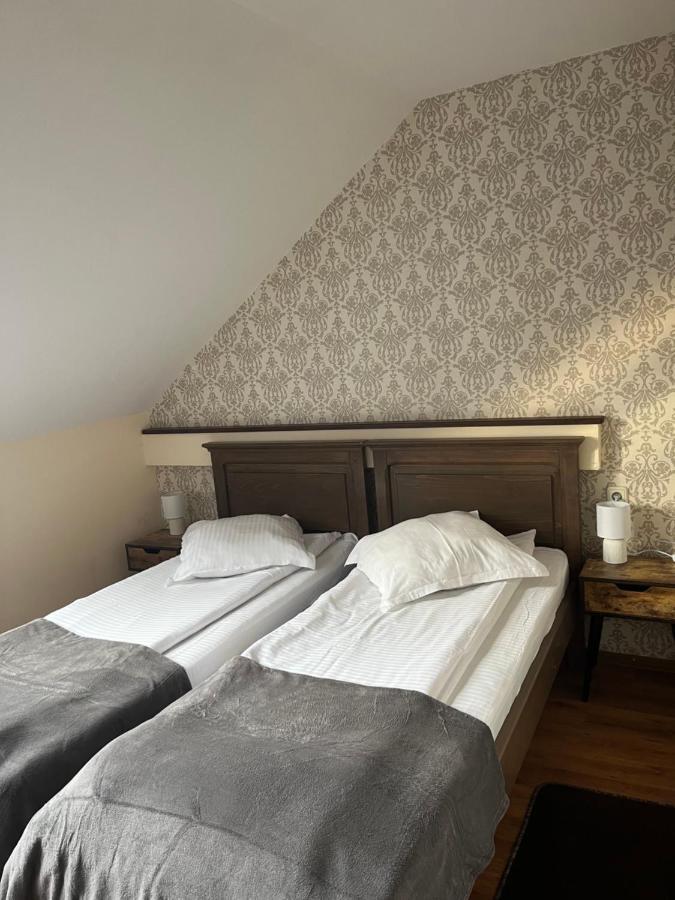 Pensiunea Diana Hotel Făgăraş Екстериор снимка