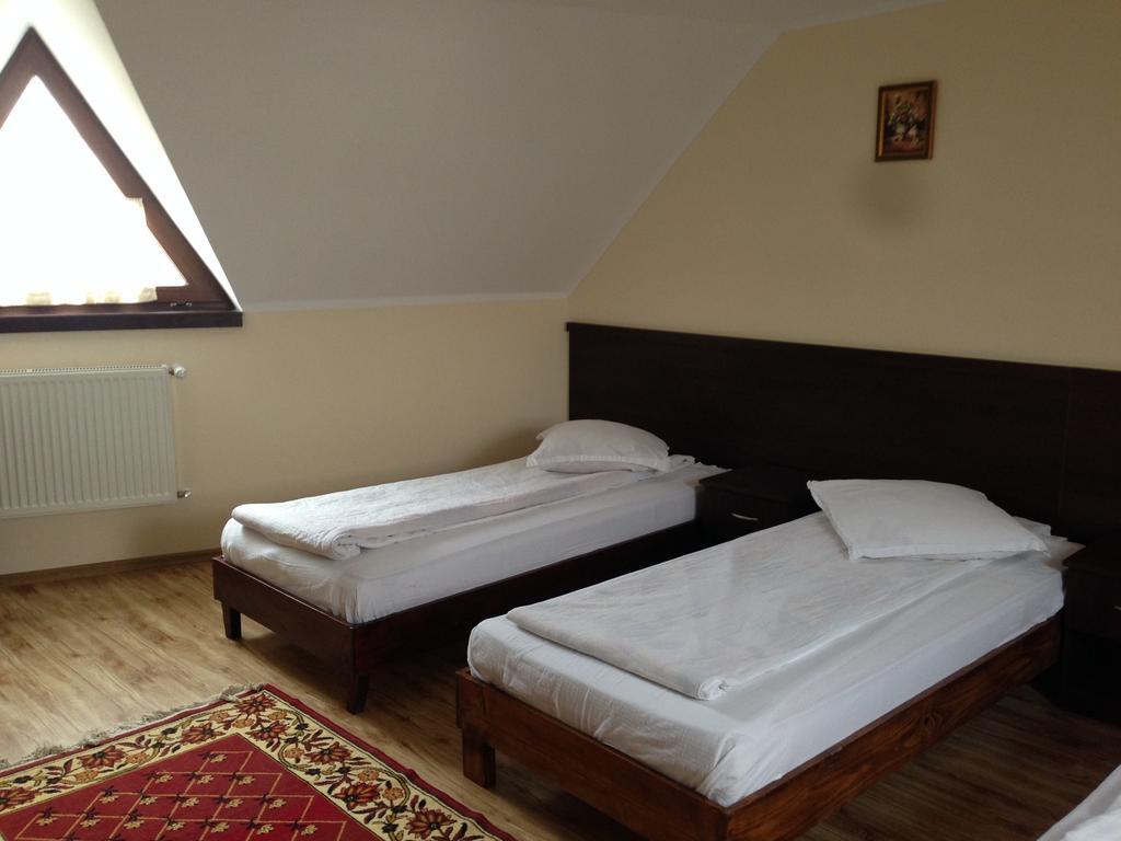Pensiunea Diana Hotel Făgăraş Екстериор снимка